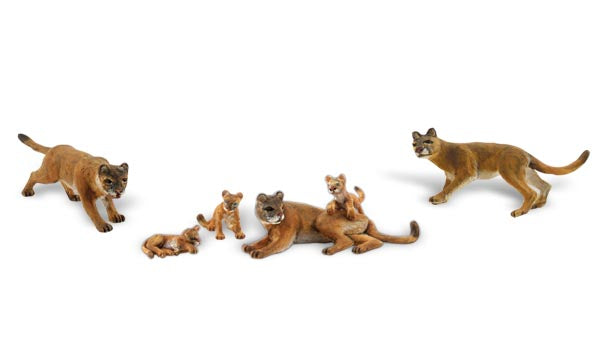 Cougars & Cubs 6/