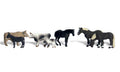 Farm Animals 7/
