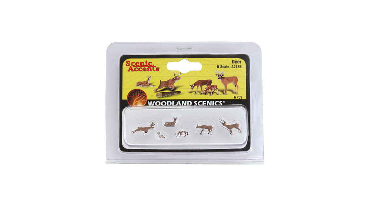 Deer White-Tail 6/