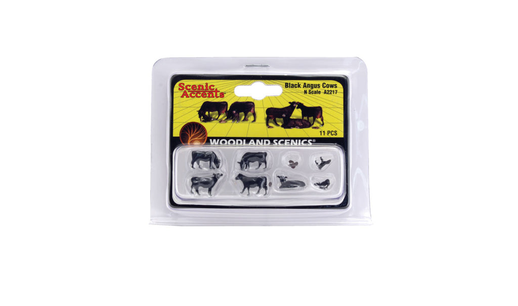 Black Angus Cows 7/