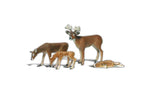 Buck & Family