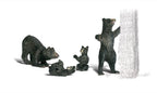Harry Bear & Family