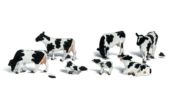 Holstein Cows 7/