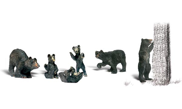 Black Bears 6/