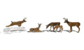 White-Tail Deer 6/