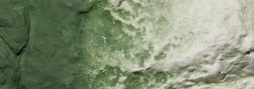 Undercoat Grn         8oz