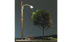 Strt Lt O Wooden Pole 2/