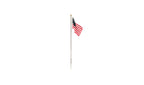 U.S. Flag & Pole Medium
